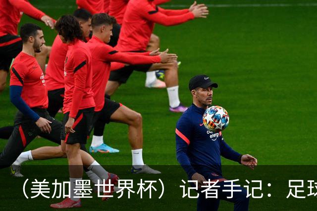 （美加墨世界杯）记者手记：足球世界，规则谁定？